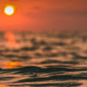 Meet your Posher, Payton